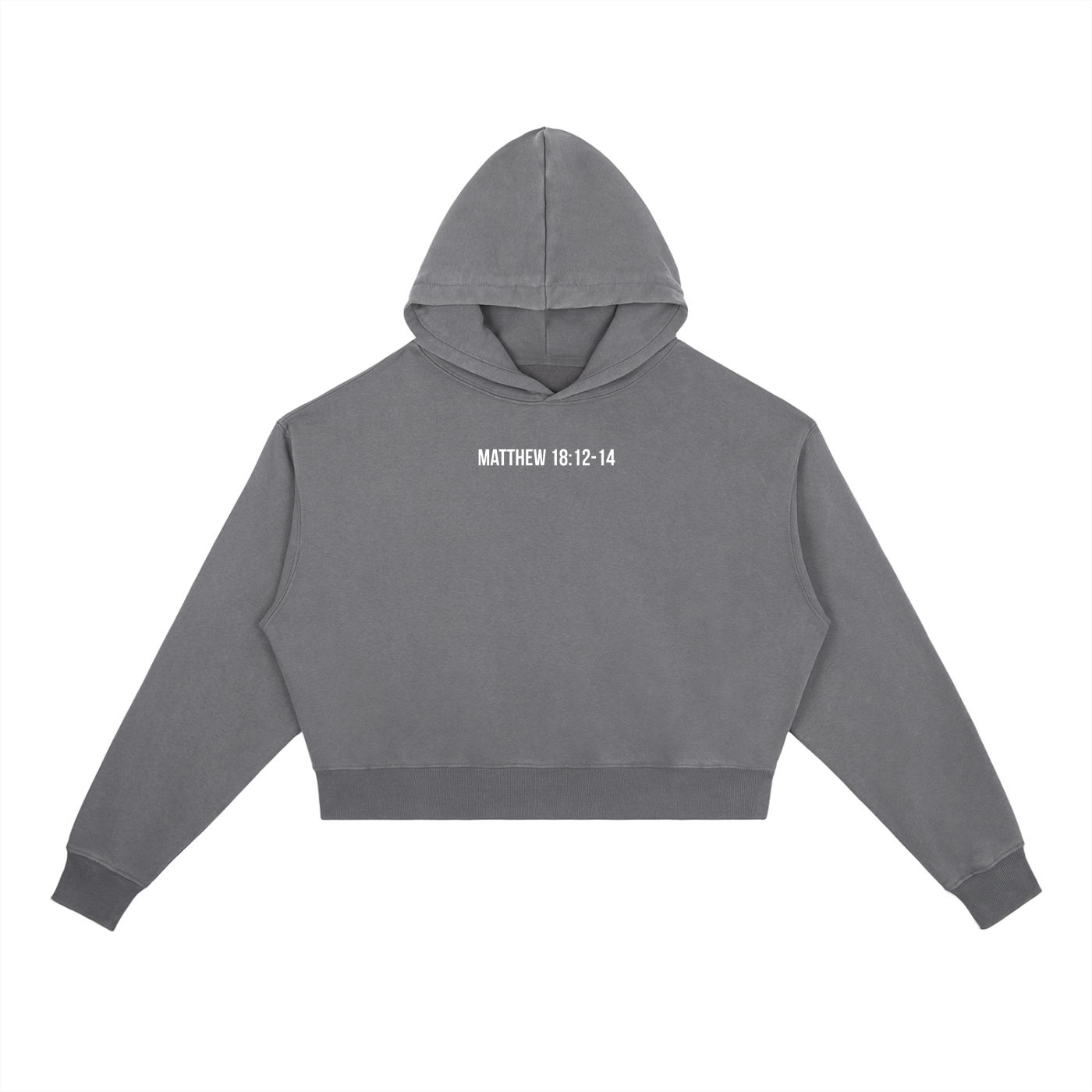Mathew 18:12-14 Vintage Washed Hoodie