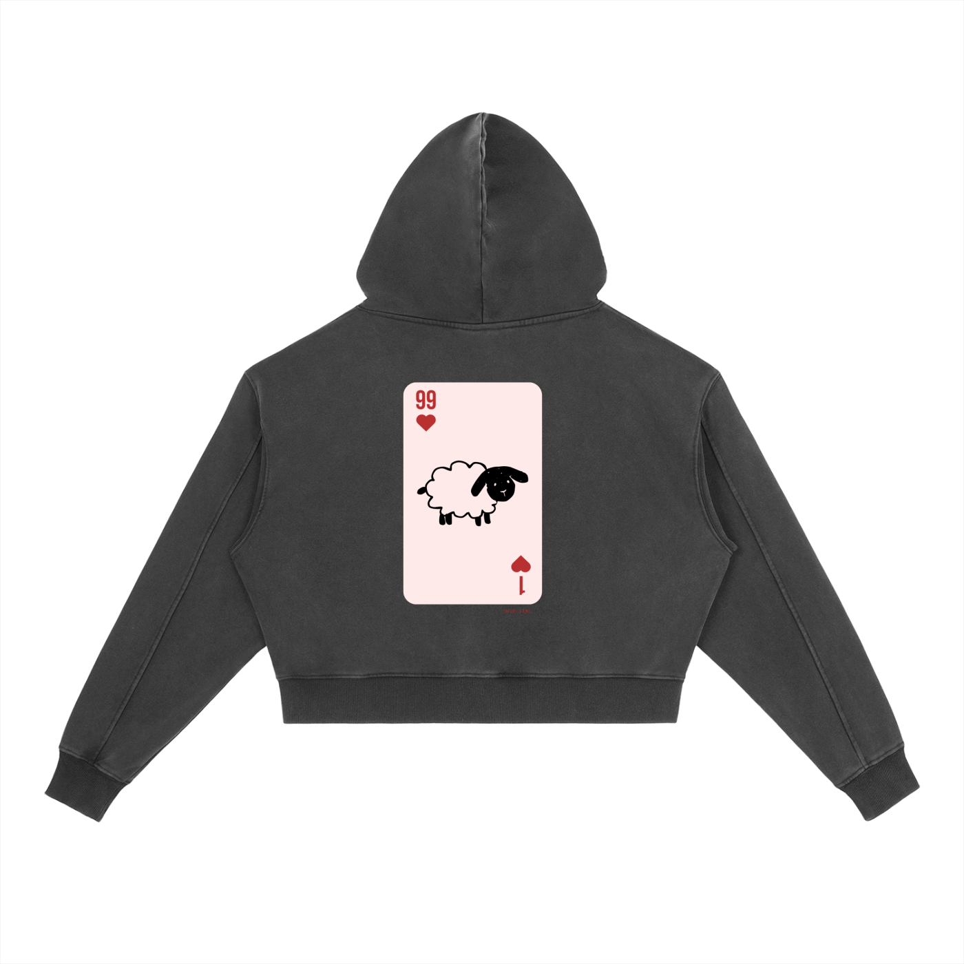 Mathew 18:12-14 Vintage Washed Hoodie