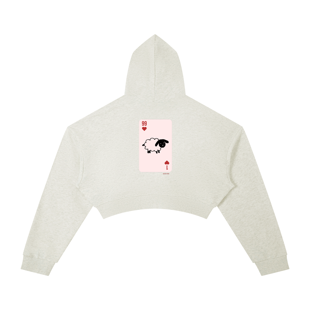 Mathew 18:12-14 Cropped Hoodie